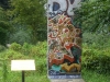 cimg0056_mauer.jpg