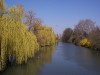 sunday-035.jpg