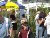 fest_garten1.jpg