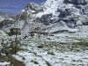 cimg0495_800.jpg