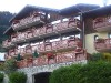 cimg0595_800.jpg