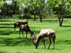 DSC00125_1024