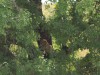 IMG_8026_1024