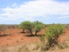 IMG_8047_1024