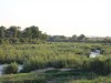 IMG_8110_1024