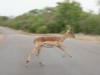 IMG_8439_1024